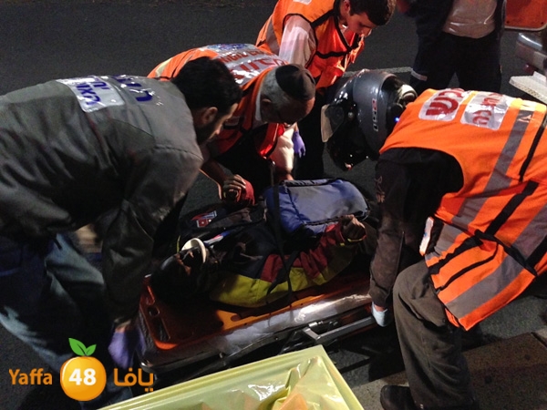 shaccmidnighty114 (10).jpg